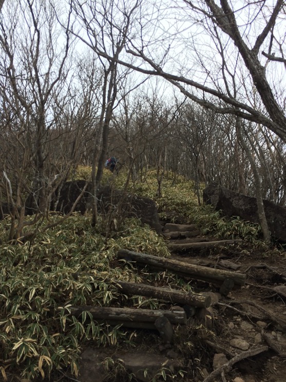 Photo 29-04-2015 12 51 23