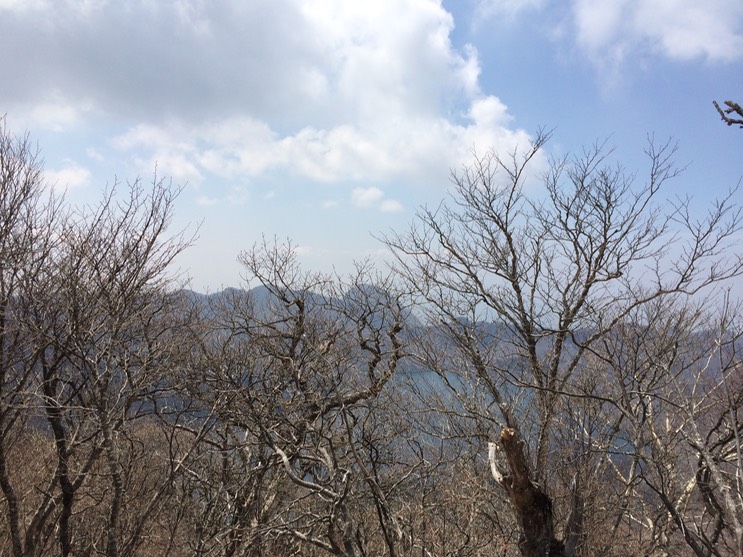 Photo 29-04-2015 13 05 40