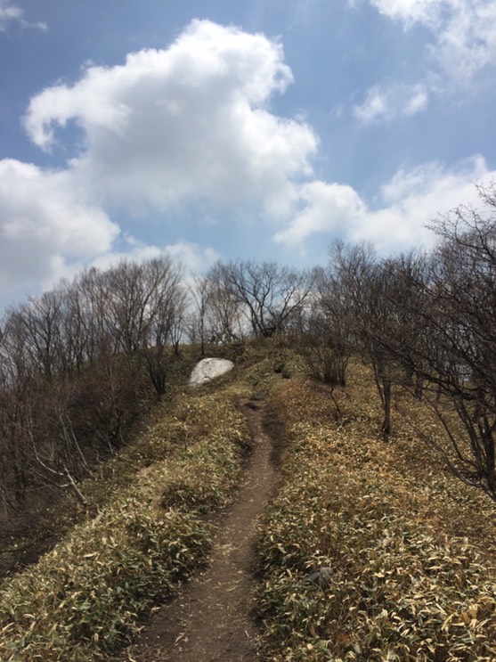 Photo 29-04-2015 13 08 30