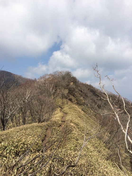 Photo 29-04-2015 13 09 14