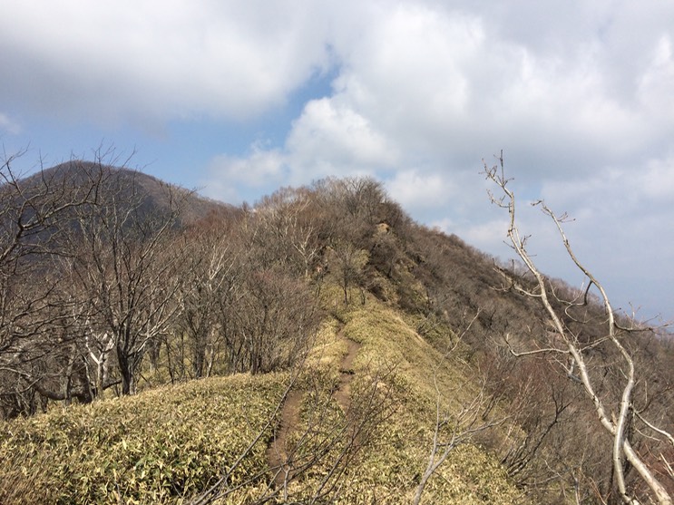 Photo 29-04-2015 13 09 19 (1)