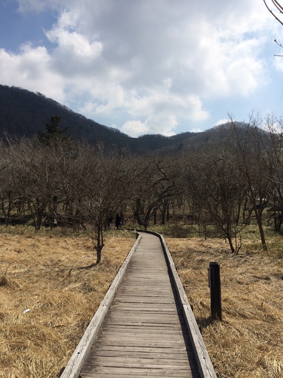 Photo 29-04-2015 13 50 00