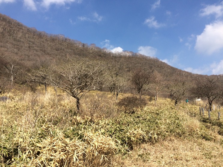 Photo 29-04-2015 13 55 05