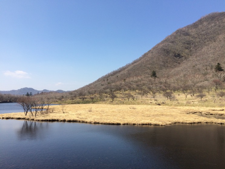 Photo 29-04-2015 14 03 14