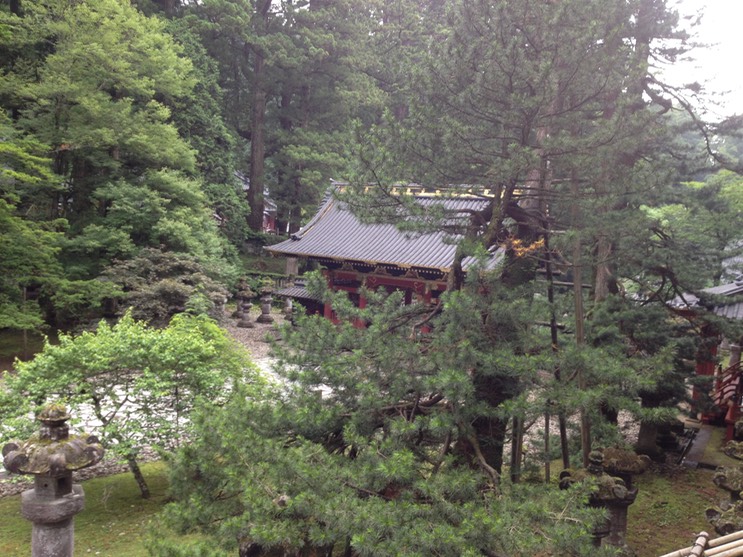 Photo 29-06-2013 14 45 00