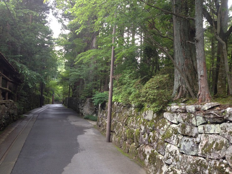 Photo 29-06-2013 15 27 20