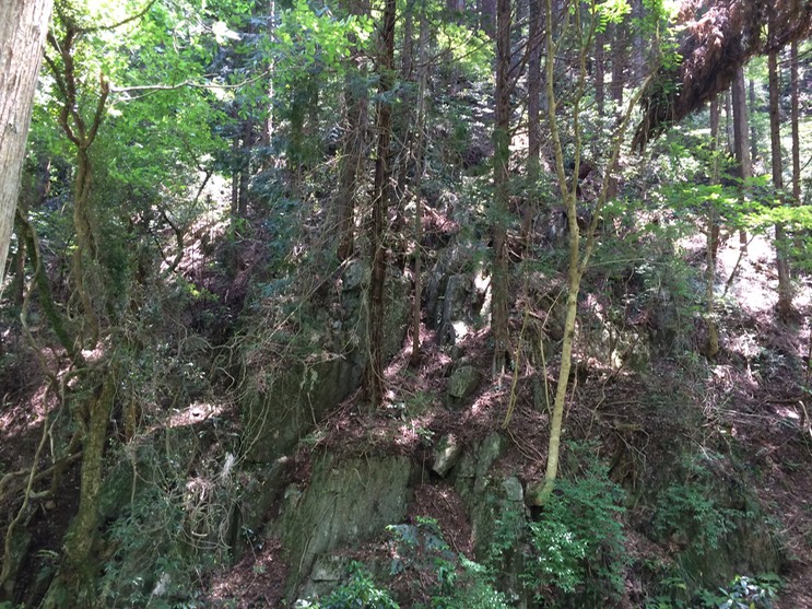 Photo 31-05-2014 11 24 46