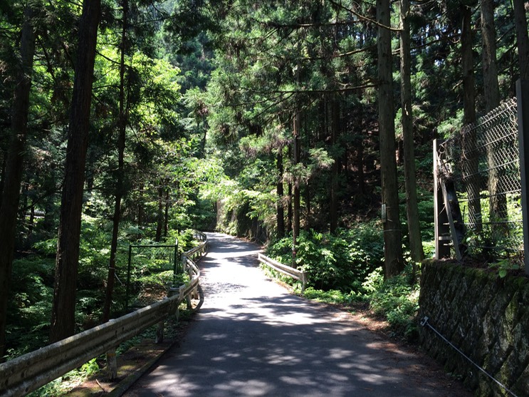 Photo 31-05-2014 11 29 27