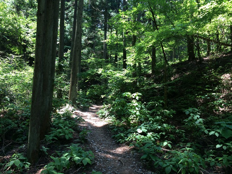 Photo 31-05-2014 11 39 07