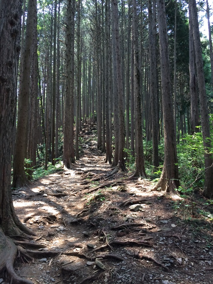 Photo 31-05-2014 11 47 24