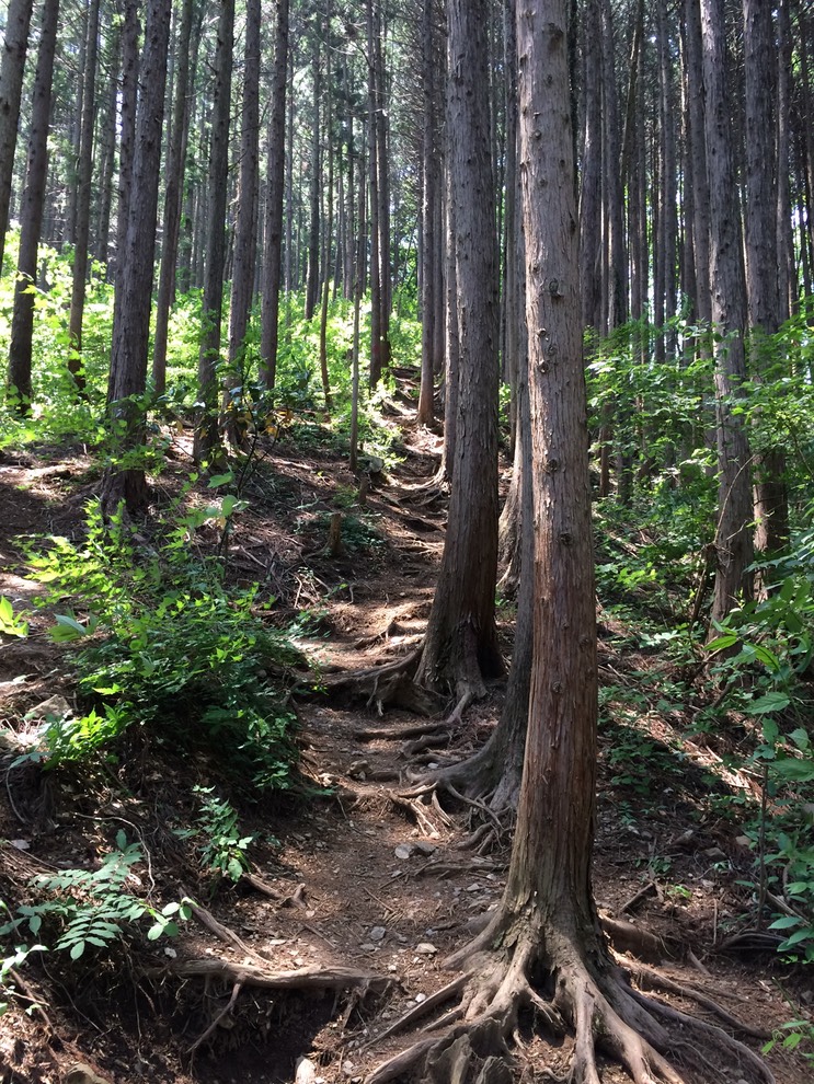 Photo 31-05-2014 11 50 38