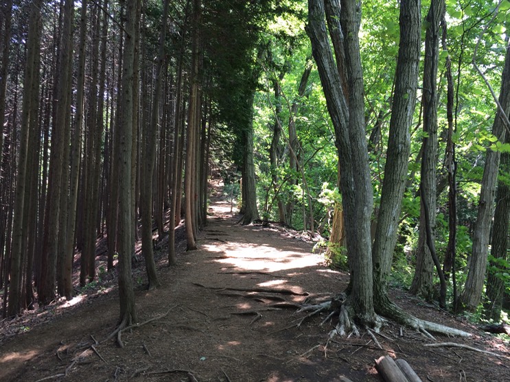 Photo 31-05-2014 11 59 52