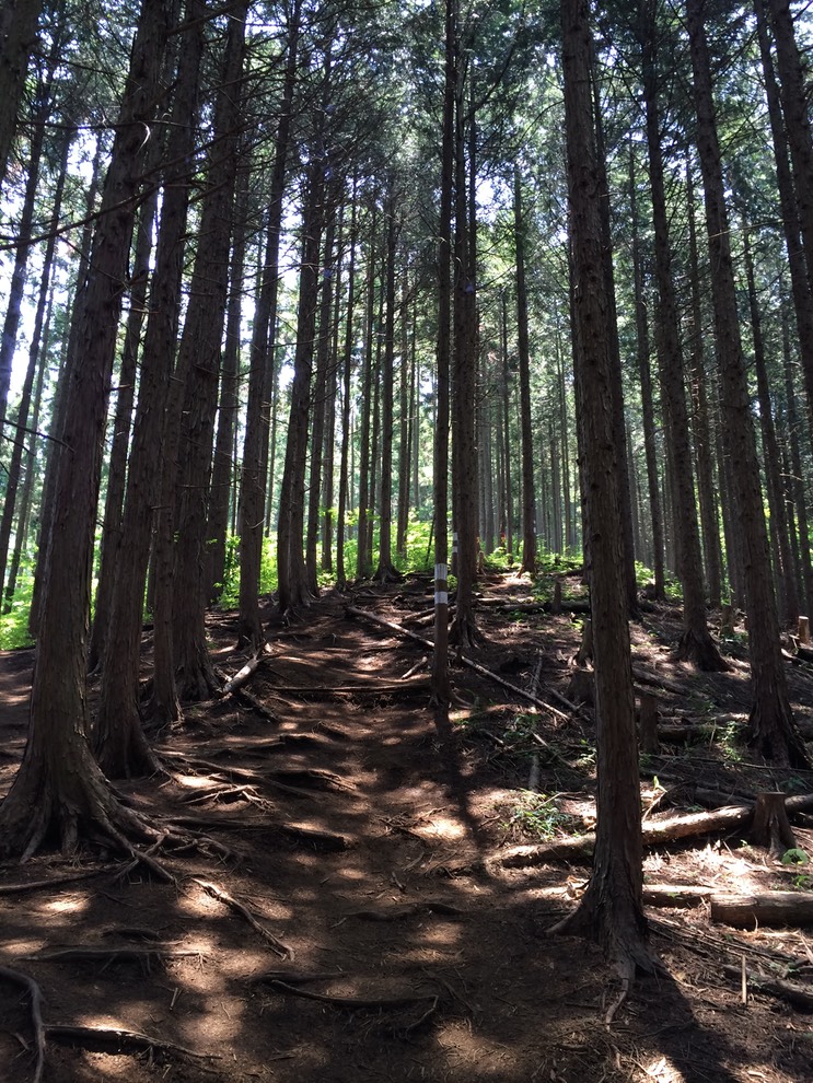 Photo 31-05-2014 12 06 13