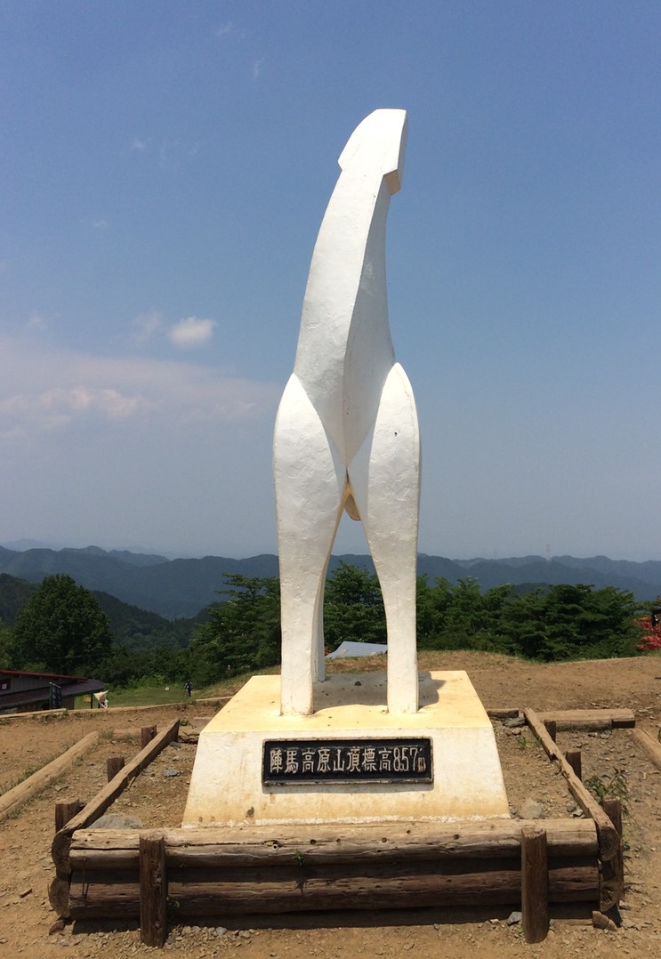 Photo 31-05-2014 12 24 10