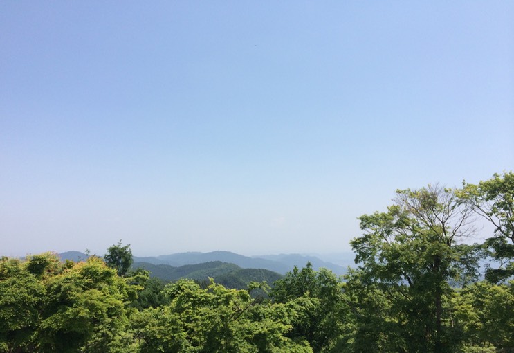 Photo 31-05-2014 12 24 27