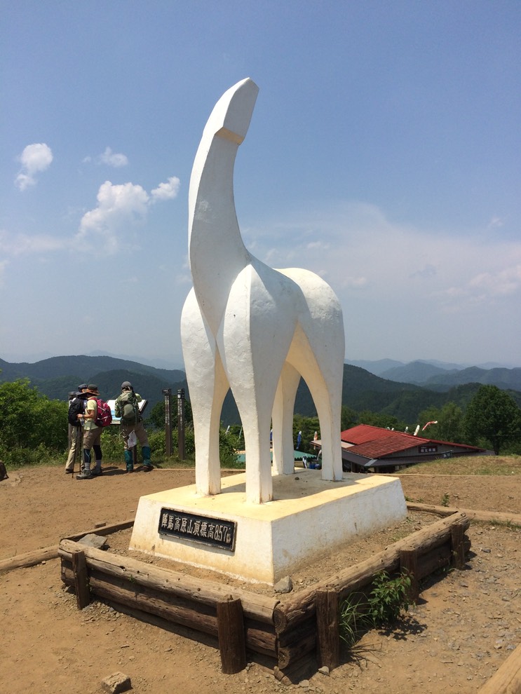 Photo 31-05-2014 12 24 40