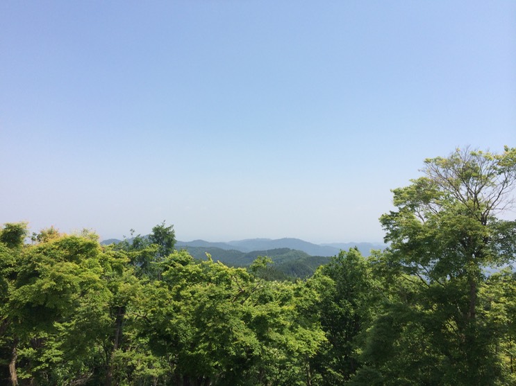 Photo 31-05-2014 12 31 01