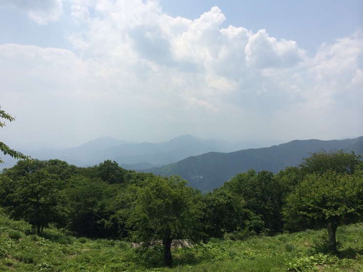 Photo 31-05-2014 12 38 30