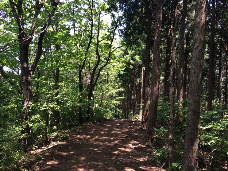 Photo 31-05-2014 12 46 05