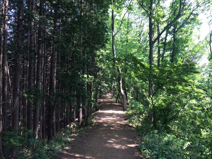 Photo 31-05-2014 13 03 21