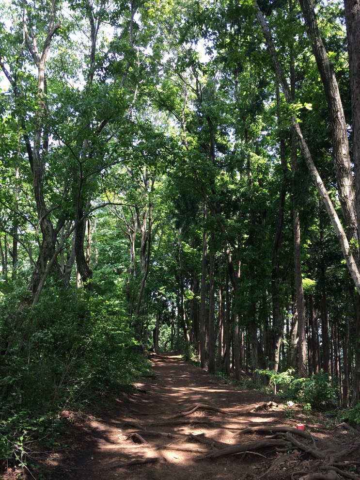 Photo 31-05-2014 13 08 17