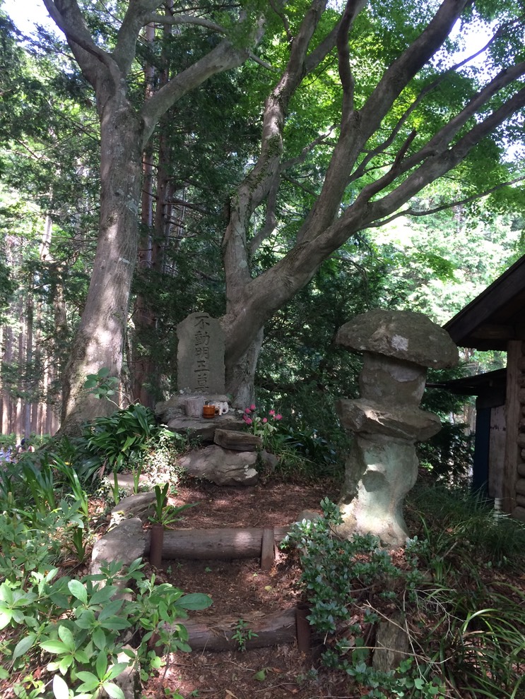 Photo 31-05-2014 13 11 27