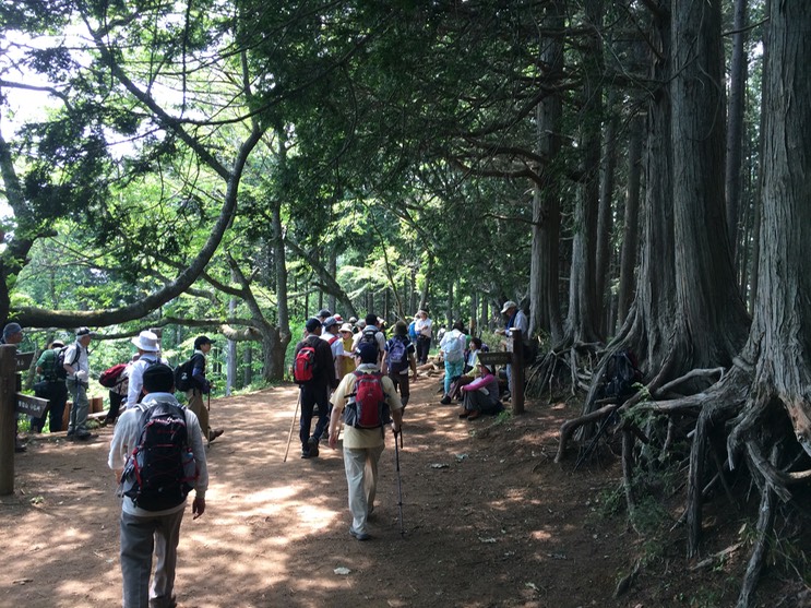 Photo 31-05-2014 13 11 50