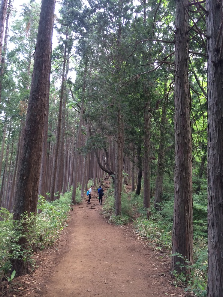 Photo 31-05-2014 13 16 12