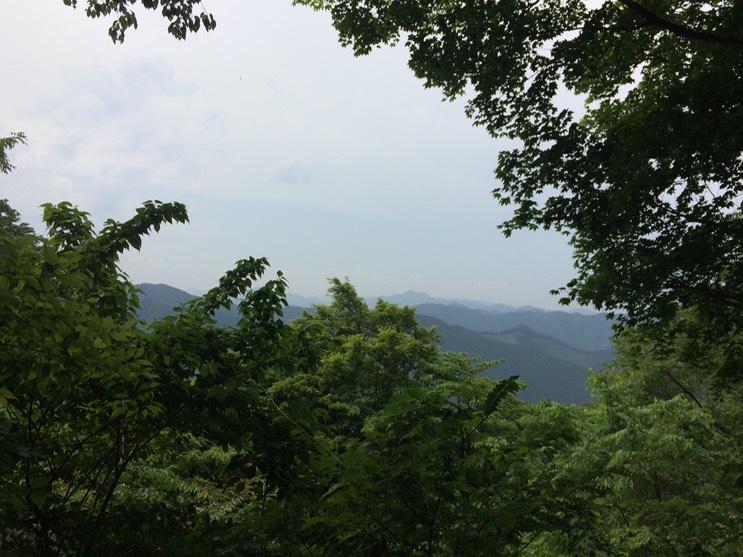 Photo 31-05-2014 13 21 59