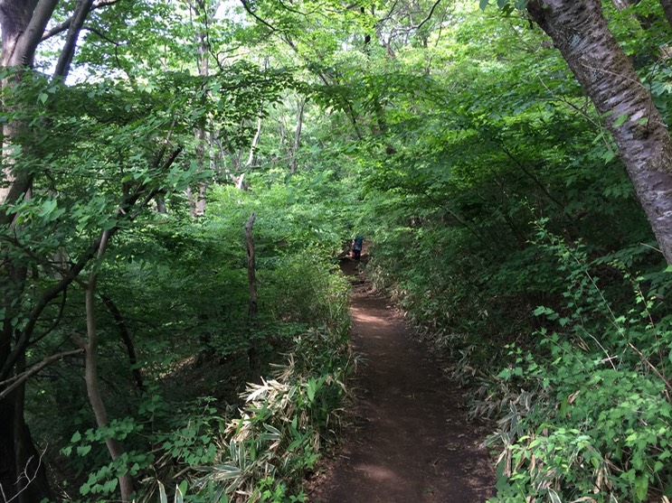 Photo 31-05-2014 13 22 09