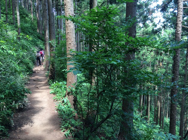 Photo 31-05-2014 13 30 25