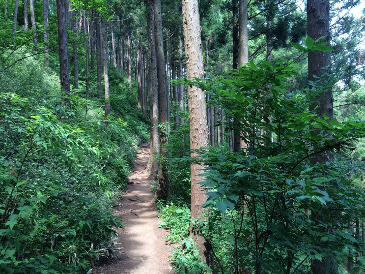 Photo 31-05-2014 13 30 44