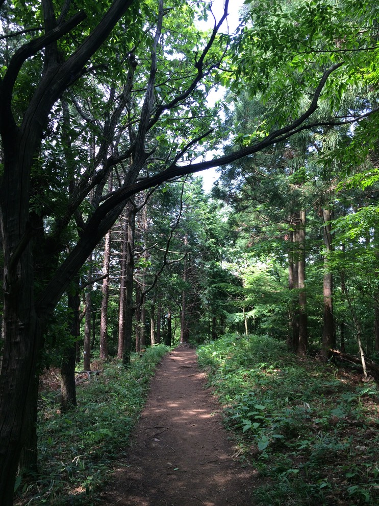 Photo 31-05-2014 13 35 33