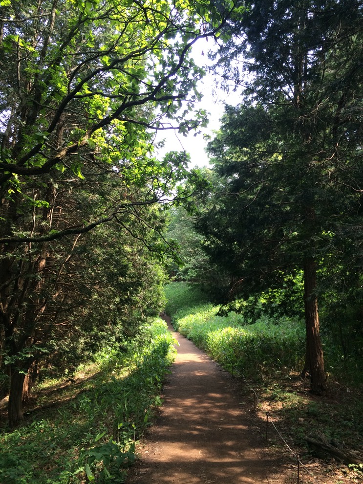 Photo 31-05-2014 13 53 41