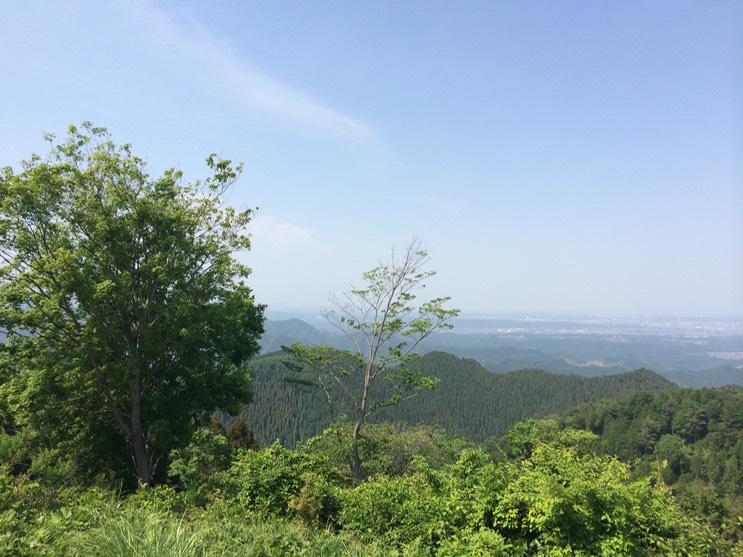 Photo 31-05-2014 14 13 26