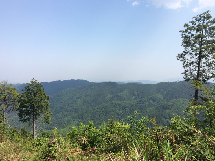 Photo 31-05-2014 14 23 43