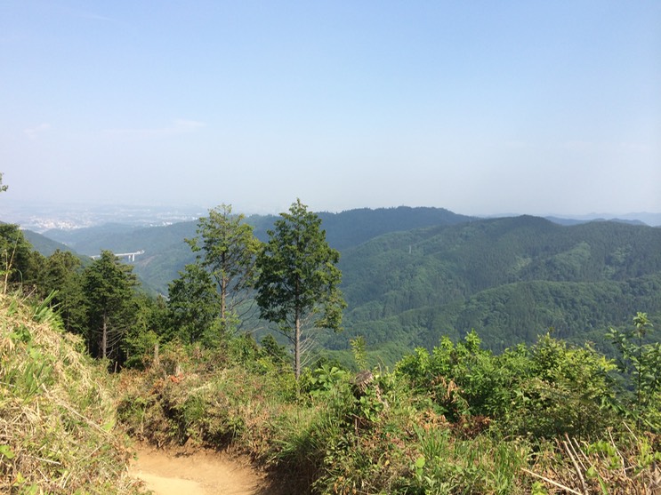 Photo 31-05-2014 14 23 50