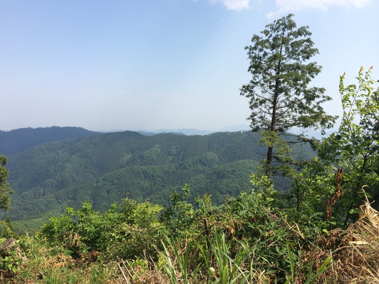 Photo 31-05-2014 14 23 54