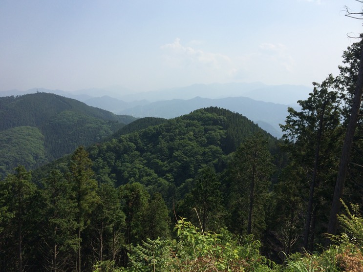 Photo 31-05-2014 14 24 32