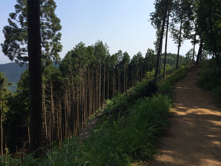 Photo 31-05-2014 14 27 48