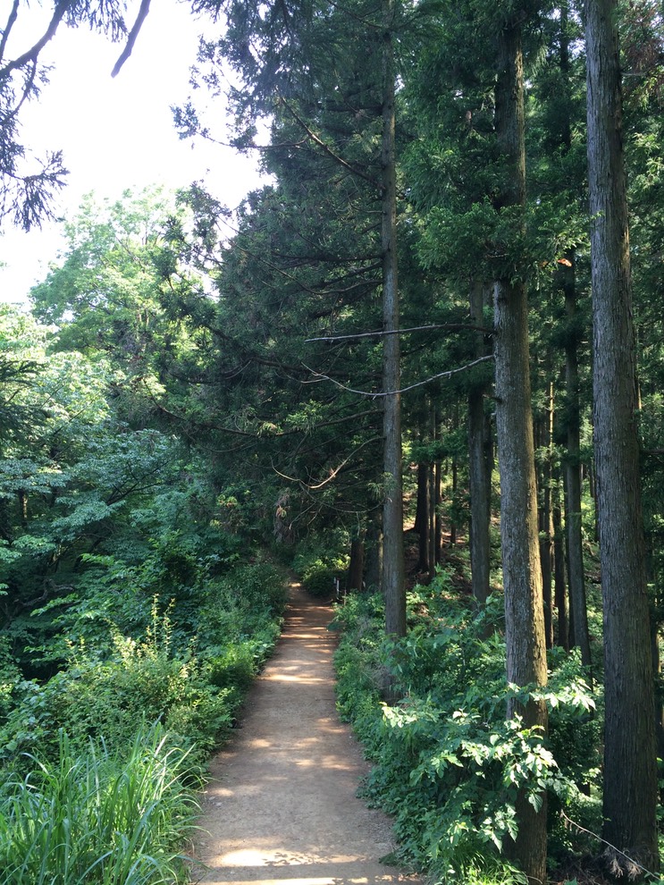 Photo 31-05-2014 14 31 47