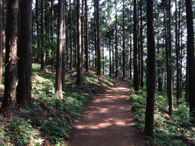 Photo 31-05-2014 14 34 16