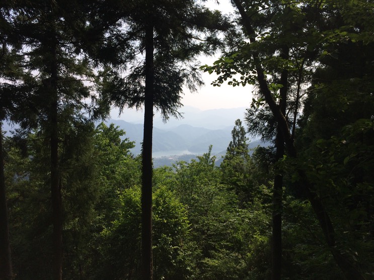 Photo 31-05-2014 14 53 54