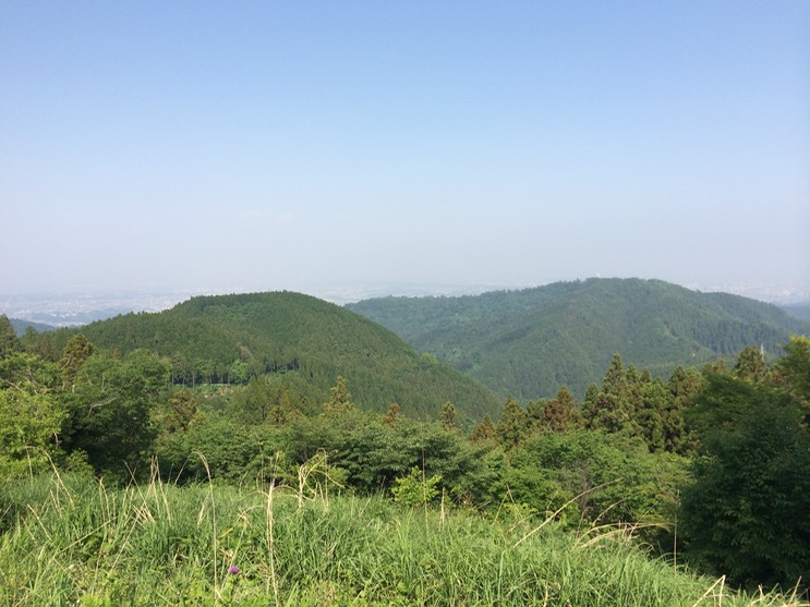 Photo 31-05-2014 15 09 42