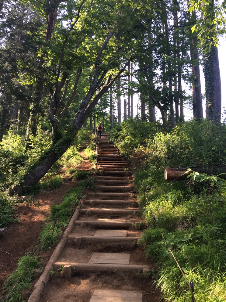 Photo 31-05-2014 15 18 45