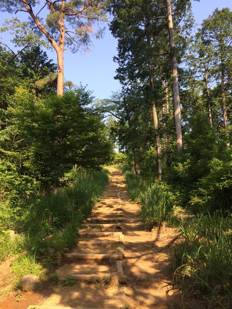 Photo 31-05-2014 15 43 28