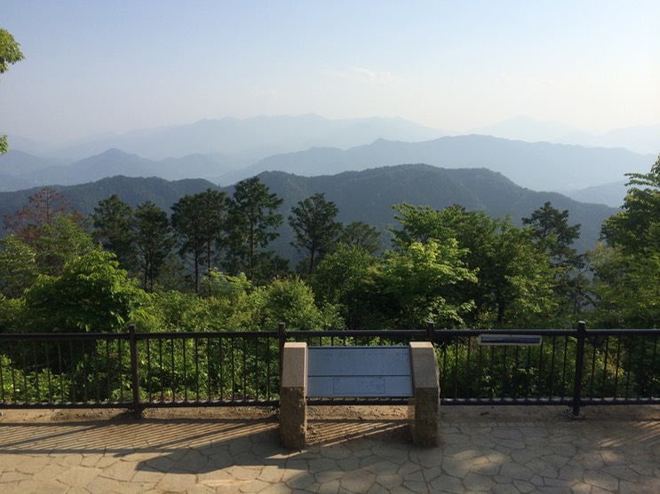 Photo 31-05-2014 16 06 35