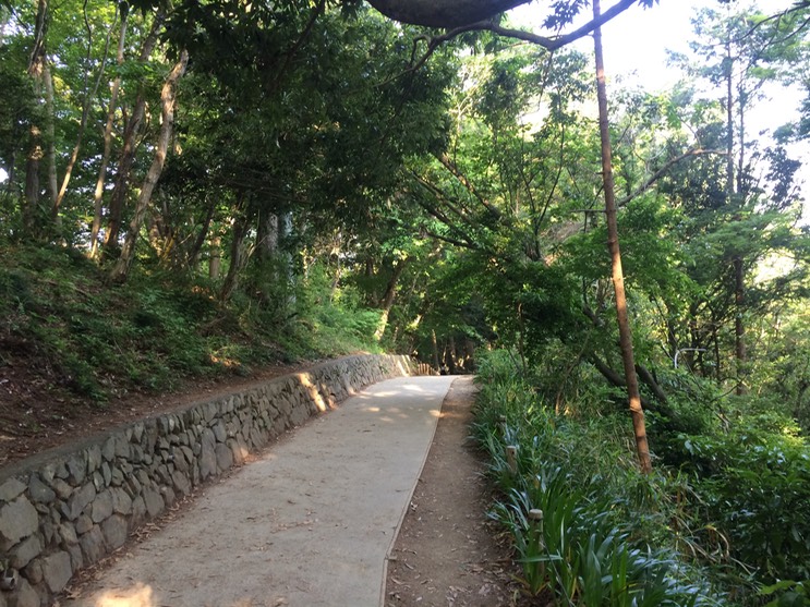 Photo 31-05-2014 16 16 51