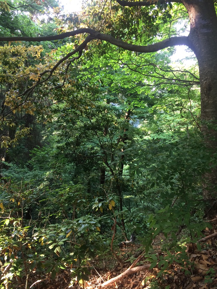 Photo 31-05-2014 16 19 15