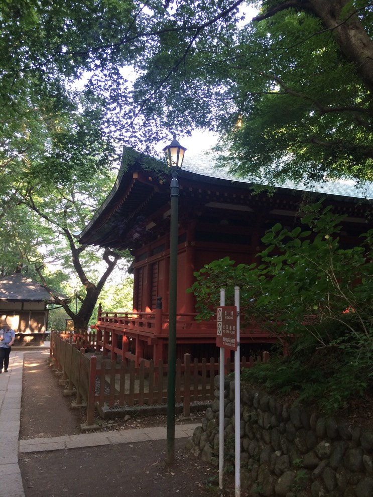 Photo 31-05-2014 16 21 22